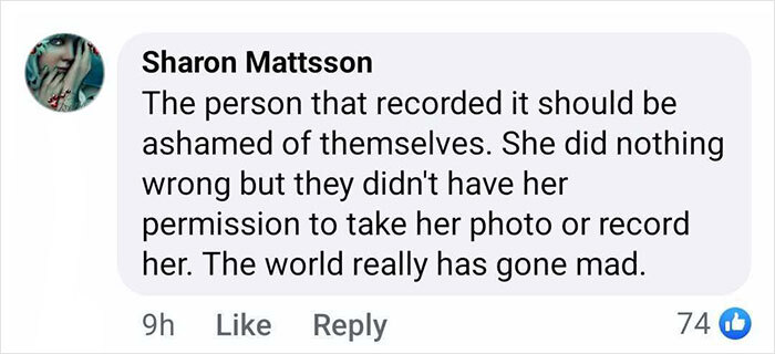 Comment criticizing video recording of passenger refusing seat swap with crying child on a flight.
