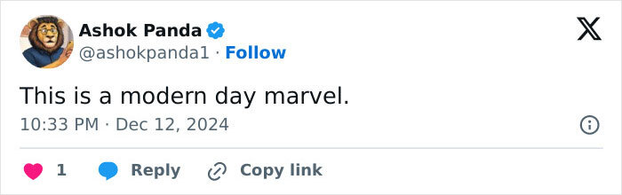 Mysterious Castle Found In The Middle Of A Frozen Lake Has People Scratching Their Heads