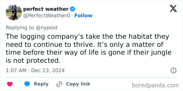 Never-Before-Seen Amazon Tribe Captured In Stunning First Glimpse: &ldquo;Leave Them Alone&rdquo;