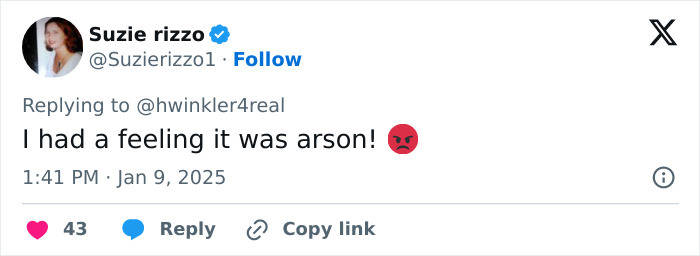Tweet suggesting arson involvement during LA wildfires, referencing theory by Henry Winkler, with angry emoji.