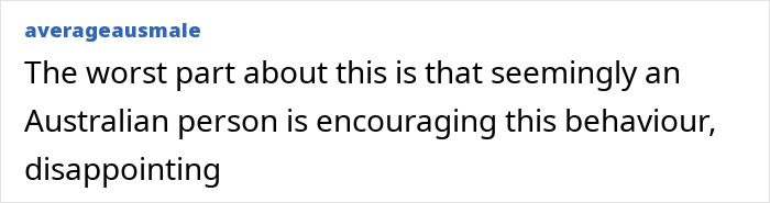 Comment criticizing behavior related to a wombat incident involving an American tourist.