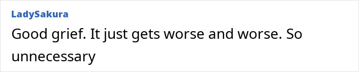 &ldquo;Lots Of Fraud&rdquo;: Hannah Kobayashi&rsquo;s Fake Marriage And Alleged Scam Before Disappearance Exposed