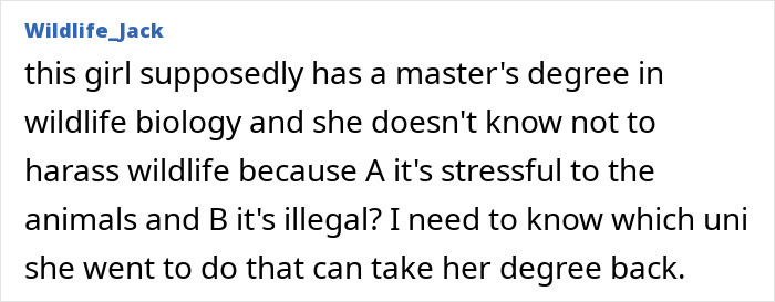 Text comment criticizing an American tourist for unlawfully handling wildlife in Australia.