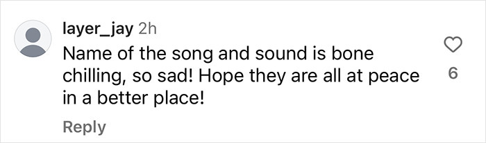 Comment expressing sadness and describing a song as bonechilling, hoping for peace for those affected.