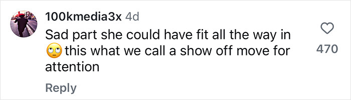 Social media comment discussing plus-size influencer's call for larger McLaren car seats.