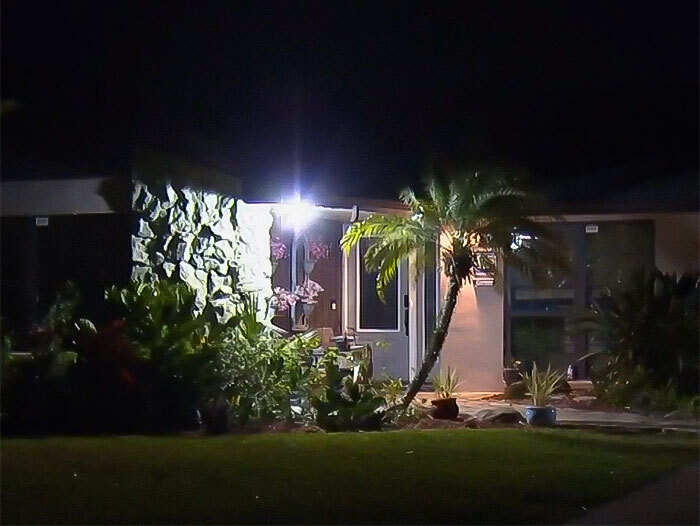 House exterior at night with palm tree and plants, related to principal arrest incident.