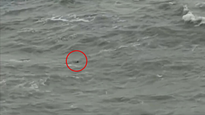 Actress Tragically Swept Away By Giant Wave While Meditating On Yoga Mat On Cliffside Beauty Spot