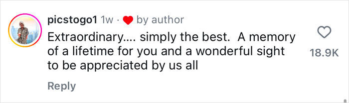 Comment praising a viral ballerina dancing on a ship&rsquo;s bow in Antarctica waters.