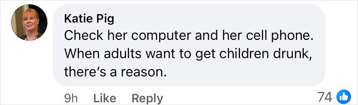 Comment expressing anger over principal's arrest after kids found drinking at home.