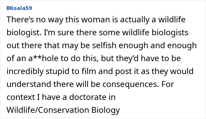 Comment discussing American tourist taking baby wombat, questioning her being a wildlife biologist.