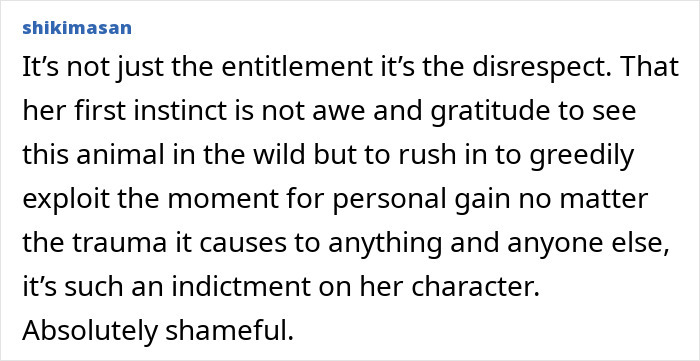 Text comment expressing frustration over American tourist snatching a baby wombat in Australia.