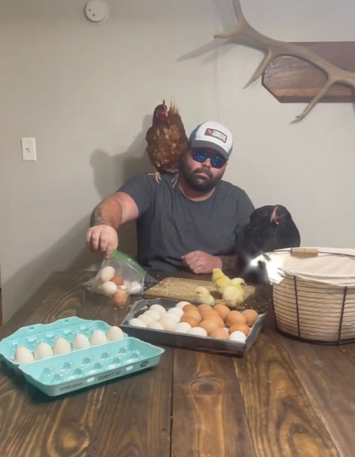 Man with hens and eggs joking about high egg prices in the US.