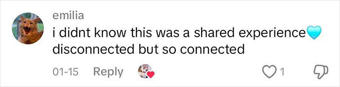 Comment reflecting on adoption experience, with heart emoji and user reactions.