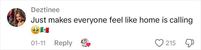 Comment by Deztinee with emojis expressing emotion and a Mexican flag, referencing feeling at home.