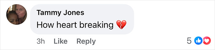 Facebook comment reacting to plane crash texts, showing sympathy and a broken heart emoji.