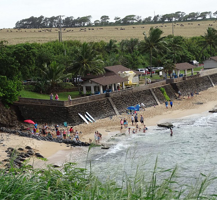 &ldquo;Lots Of Fraud&rdquo;: Hannah Kobayashi&rsquo;s Fake Marriage And Alleged Scam Before Disappearance Exposed