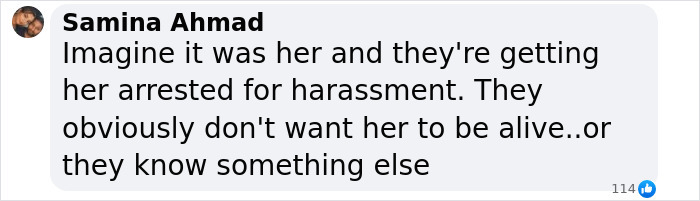 Comment discussing possible reasons for arrest related to Polish woman claiming to be Madeleine McCann.