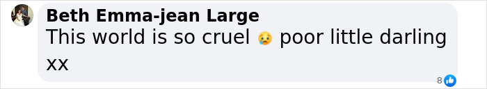 Comment expressing sympathy for a girl facing bullying and abuse, mentioning how cruel the world is.