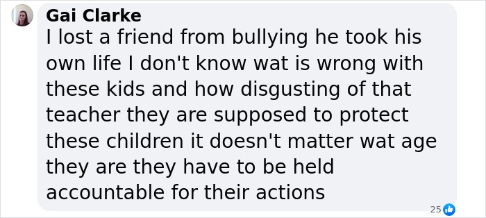Social media comment about bullying and accountability, highlighting the impact of abuse.