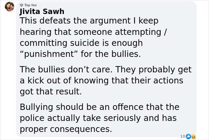 Text discussing the impact of bullying and the need for serious consequences.