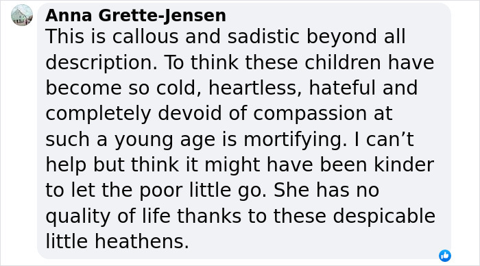 Comment expressing outrage over children's bullying behavior.