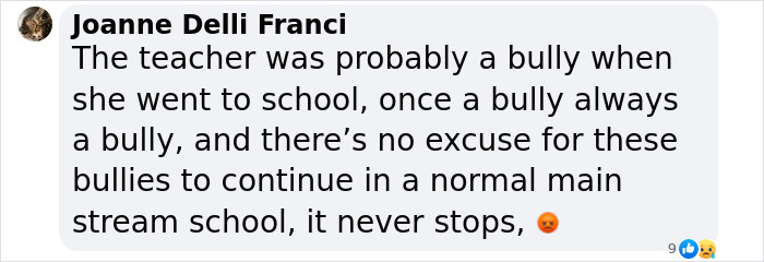 Comment criticizing bullying in schools with angry emoticons.
