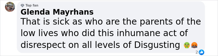 Comment expressing outrage at bullies' disrespectful actions in a hospital.