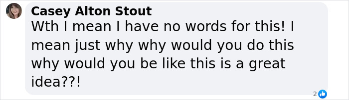 Screenshot of a comment reacting to a tragic 14YO incident involving an online challenge with butterfly remains.