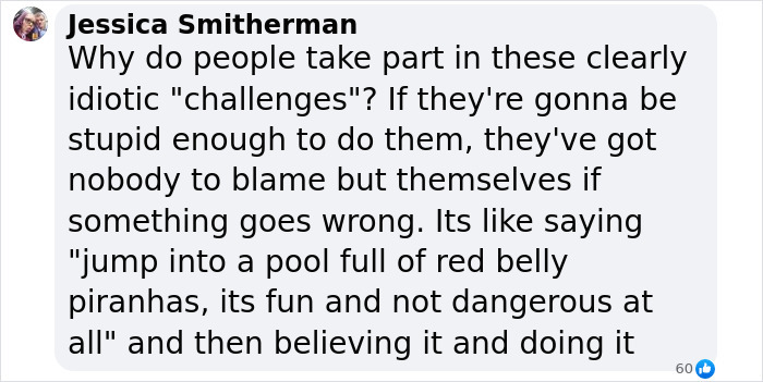 Text criticizing dangerous online challenges.