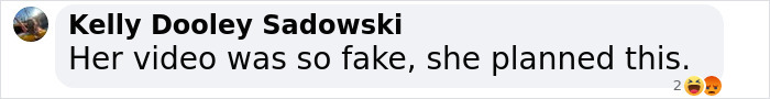 Comment by Kelly Dooley Sadowski expressing skepticism about the sincerity of a viral video related to a NYC cafe.