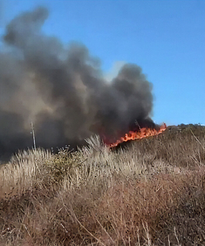 Brushfire spreading in La Palisades, thick smoke rising, sparking conspiracy theories about its origin.