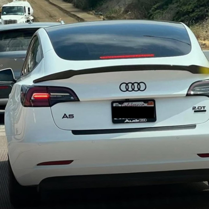 Tesla with altered logo to resemble Audi, showing owner concern amid Elon Musk controversy.