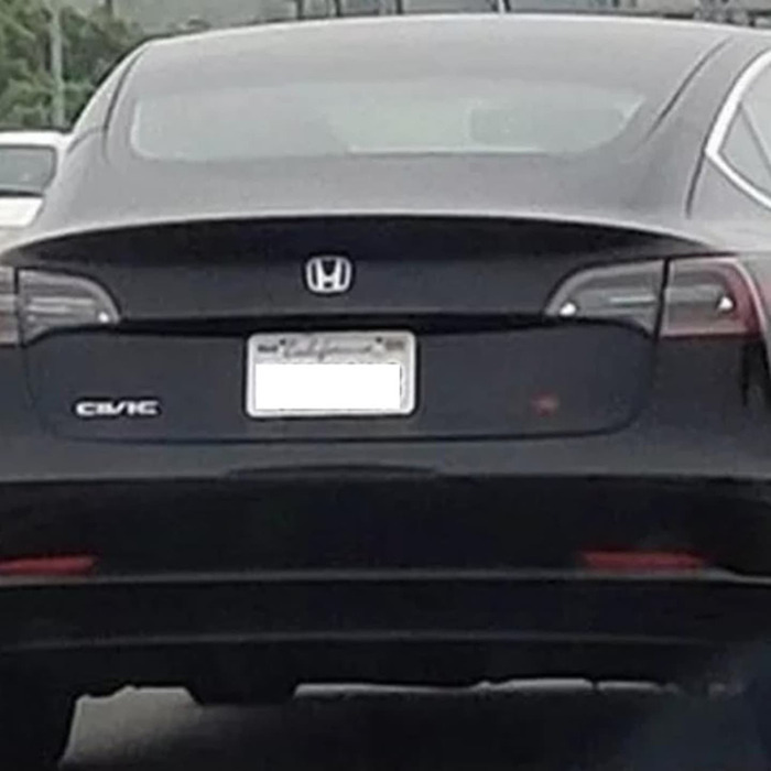 Rear of a Tesla with altered Honda and Civic logos, reflecting worried owners amid Elon Musk controversy.