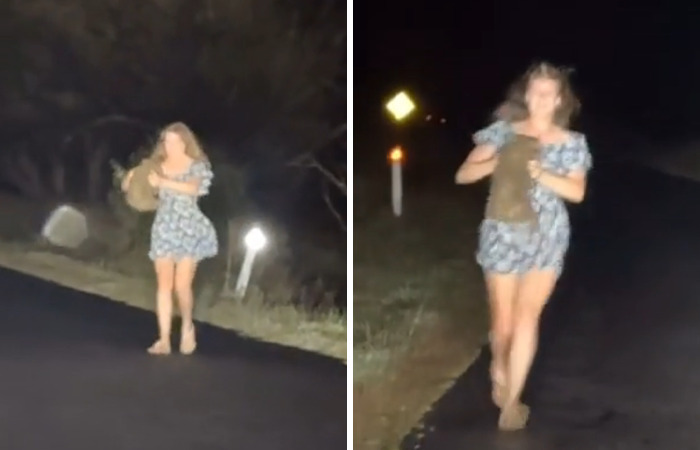 Tourist holding a baby wombat at night, walking on a road, in a controversial incident involving Australian wildlife.