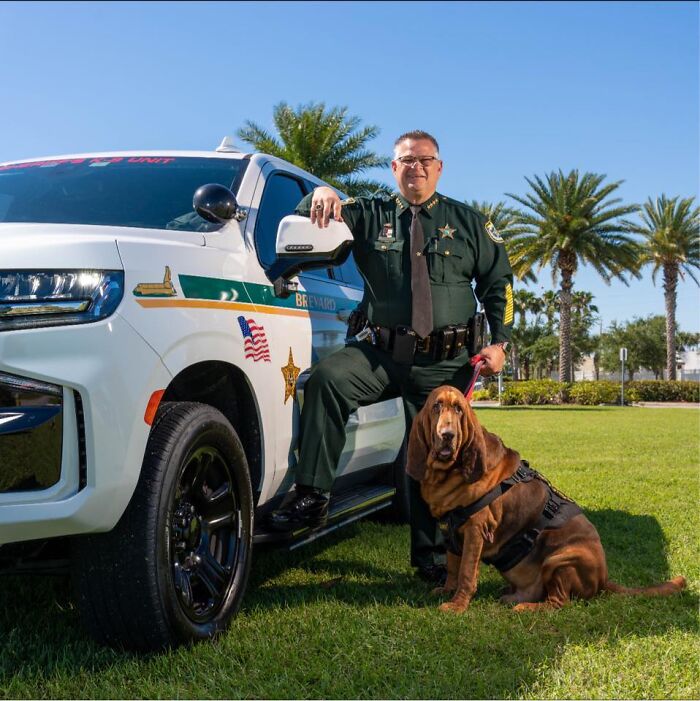 Florida sheriff in uniform standing by patrol vehicle with police dog on grass under clear blue sky.