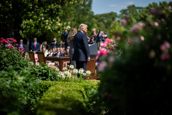 Trump and Melania White House Rose Garden event with audience, highlighting Trump White House Rose Garden paving project.