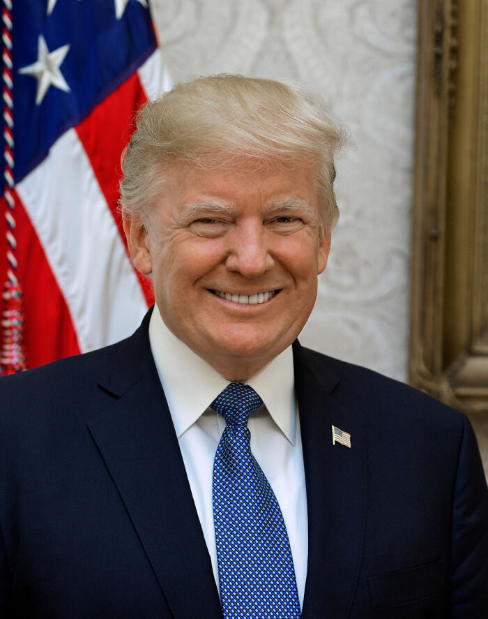 Portrait of Donald Trump smiling in a suit and blue tie with an American flag in the background at the White House.