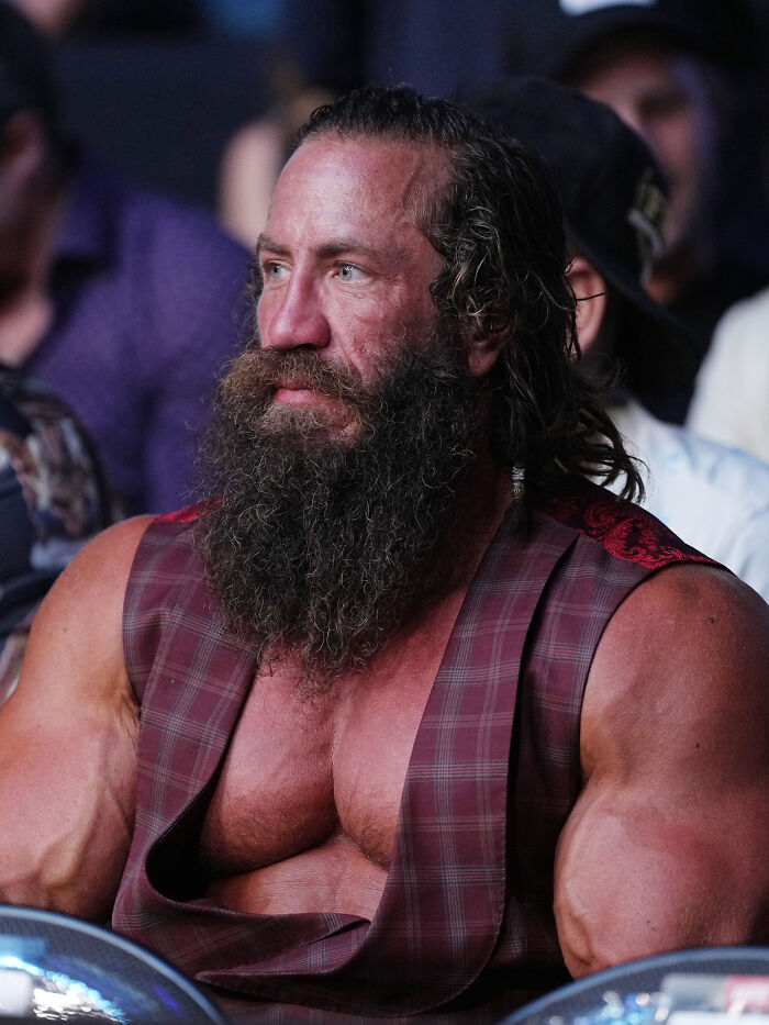 Muscular man with long beard and braided hair wearing a sleeveless checked vest at a public event, Liver King arrest context.