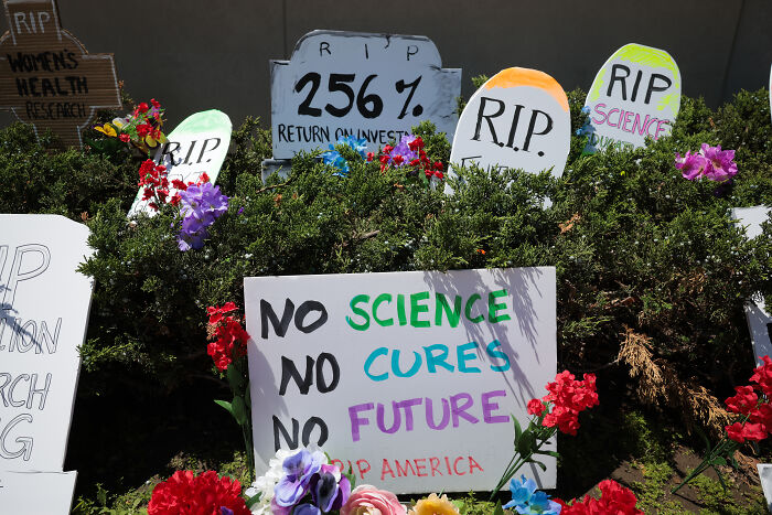 Protest signs call for NIH grant reinstatement, highlighting cuts as illegal and discriminatory against science funding.