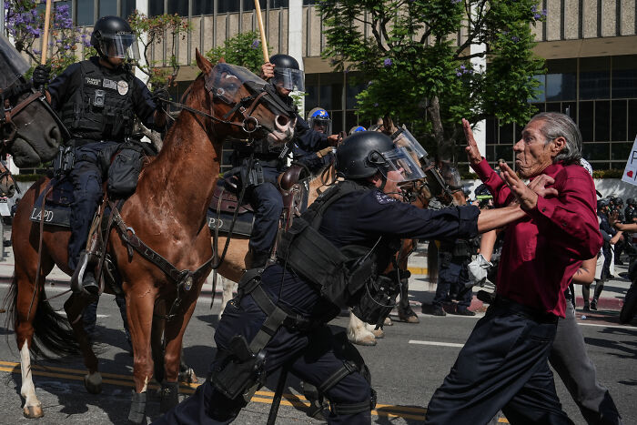 Police in riot gear on horses confront a protester during increased immigration raids in blue cities.