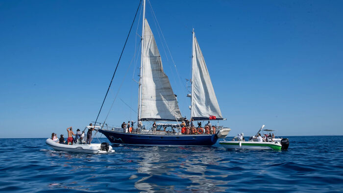 Sailboat attempting Gaza aid blockade with people on board and escort boats in calm open sea under clear sky.