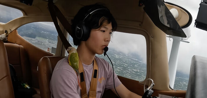 US teen pilot focused during solo flight, wearing headset with a parrot on shoulder inside small airplane cockpit.