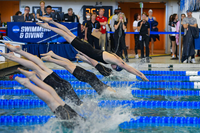 Swimmers diving into pool during competitive swimming event with coaches and spectators in background at NCAA meet.