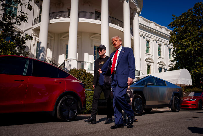 Donald Trump and Elon Musk walking outside the White House near electric vehicles in a political context.