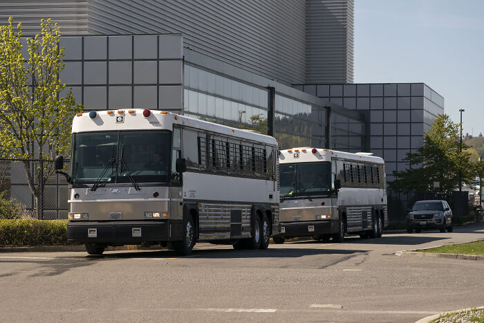 Two white buses parked outside a modern building, reflecting a scene related to deportation and mass outrage.