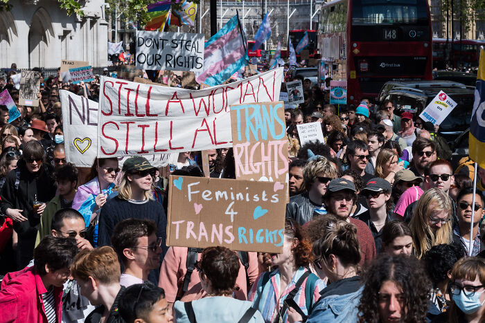 Crowd at a protest holding signs advocating for trans rights and opposing bans in single-sex spaces in the U.K.