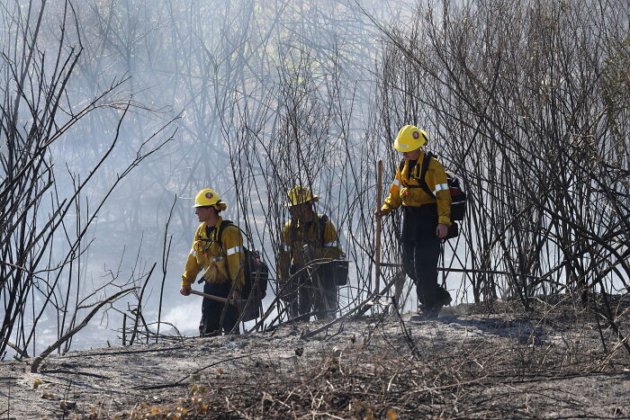 Three firefighters in yellow gear walk through a smoky, burnt forest, highlighting fear of separation in immigrant families.