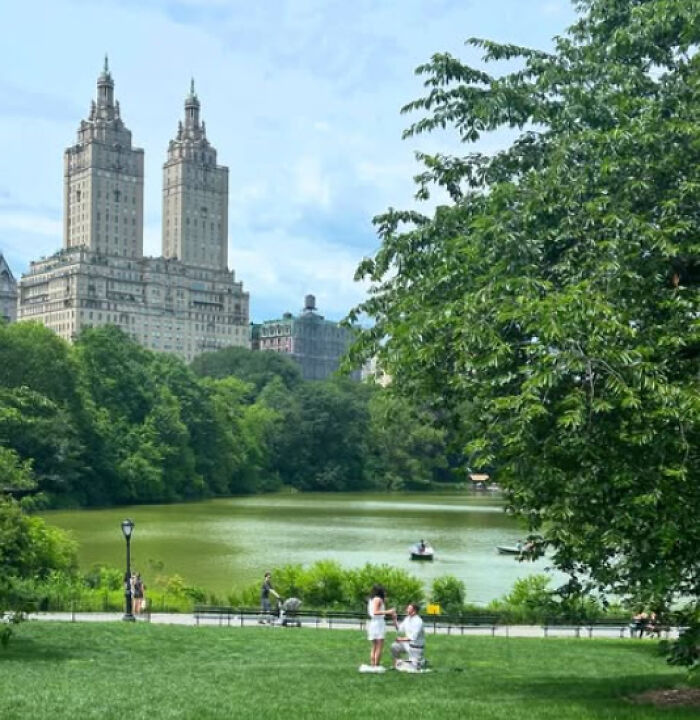 Couple in park during engagement announcement by Republican lawmaker and Fox News journalist near lake and city buildings.
