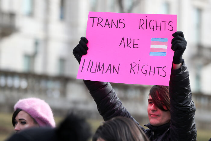 Protester holding pink sign stating trans rights are human rights at a trans rights demonstration outdoors.