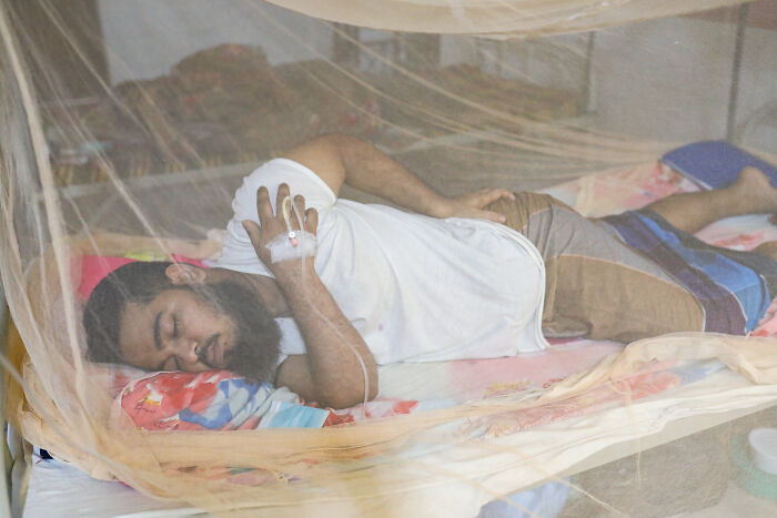 Man resting under a mosquito net with an IV drip, illustrating Pacific Islands dengue fever outbreak and climate-driven health risks.